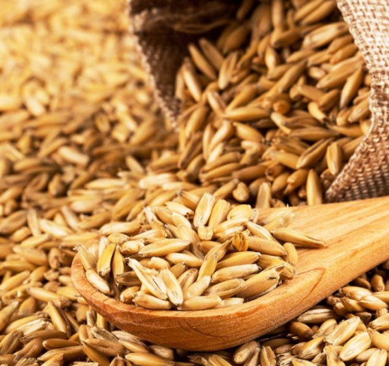 파로효소 효능 고르는법 호라산밀 곡물 역가수치 효과적인 섭취 방법 추천