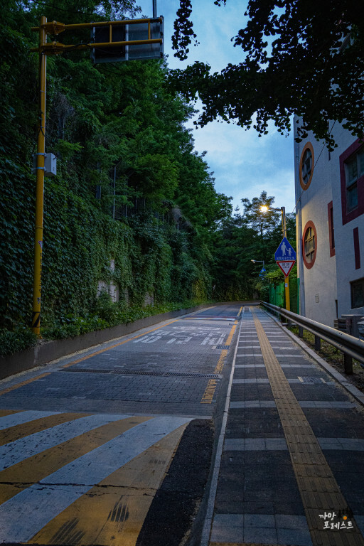 매봉산 공원 오르막길