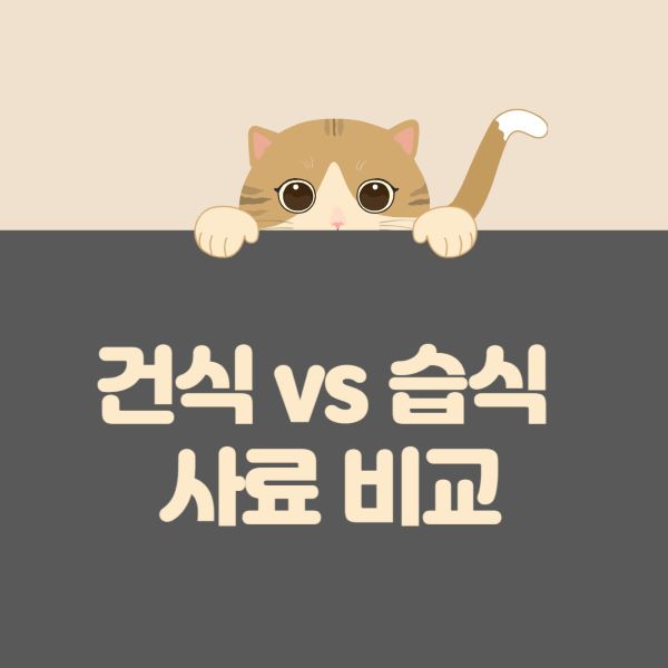 건식 VS 습식 사료, 내 고양이에게 더 좋은 선택은?