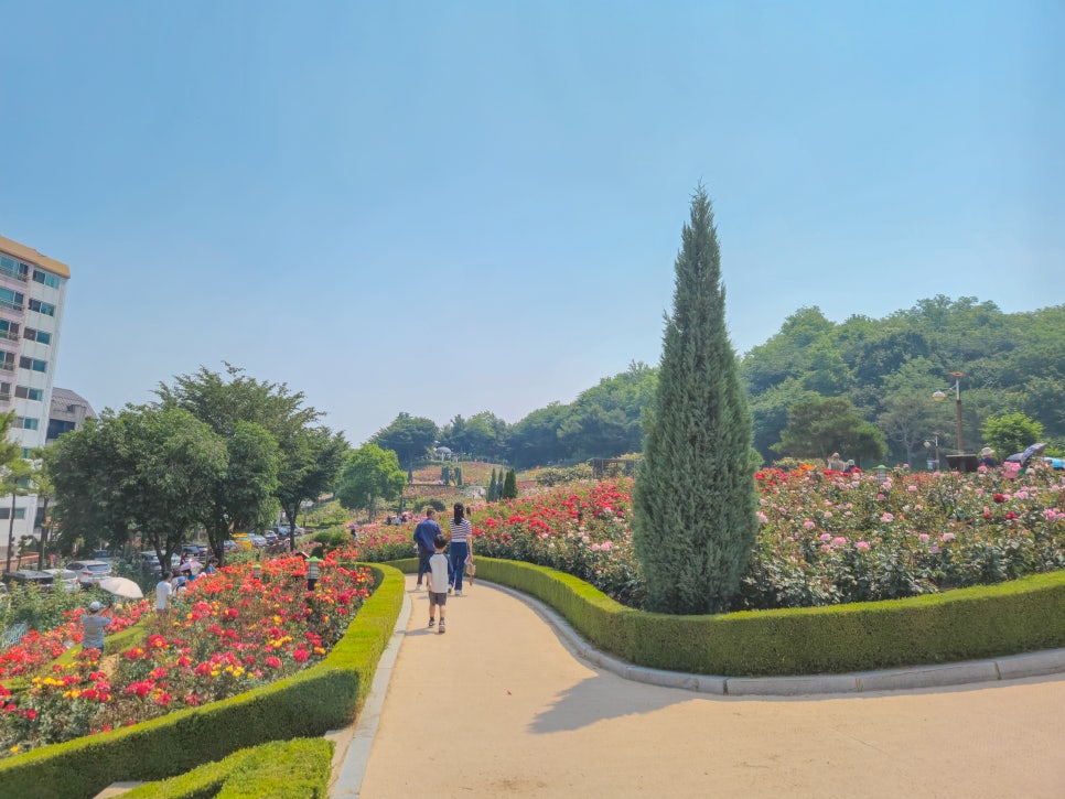 백만송이 장미축제