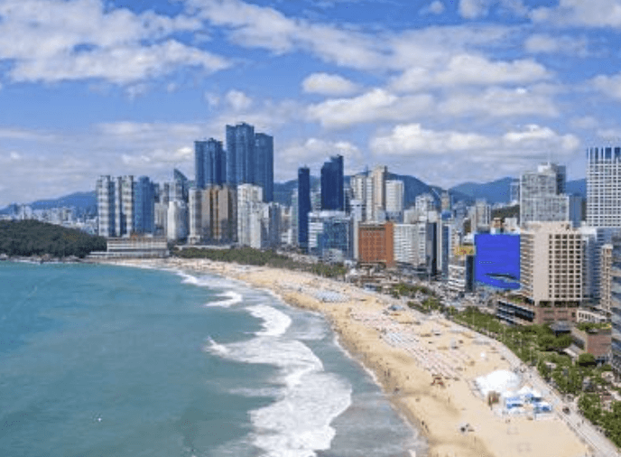 2025 부산 포트빌리지 축제｜그외 부산 명소