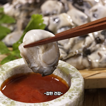 굴 효능