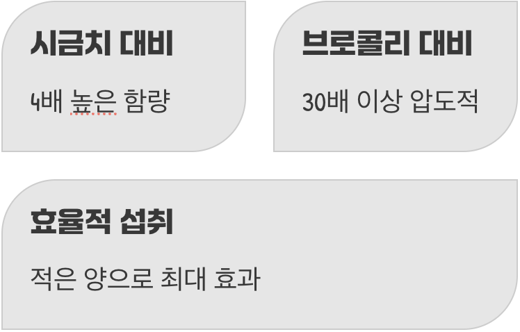 루테인 함량의 ‘왕중왕’