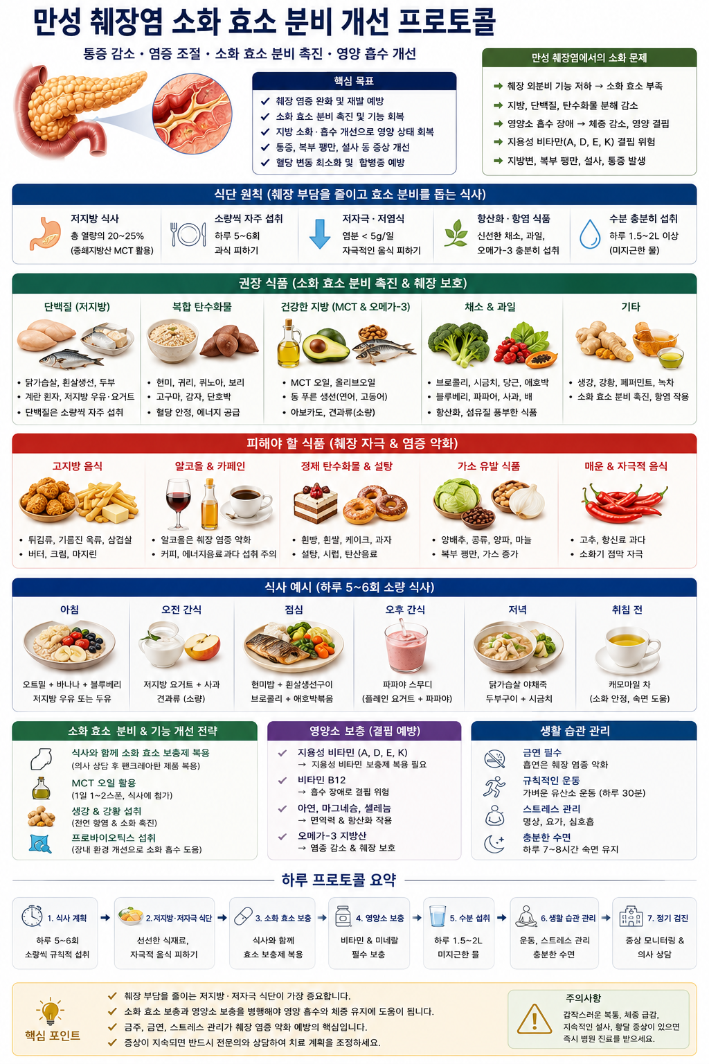 만성 췌장염 소화 효소 분비 개선 프로토콜