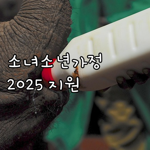 2025년 소년소녀가정 지원 정책 파..