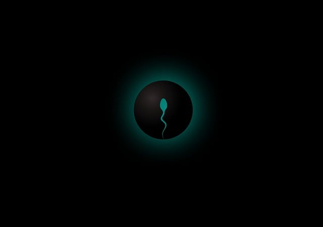 임신 1주에 관한 사진