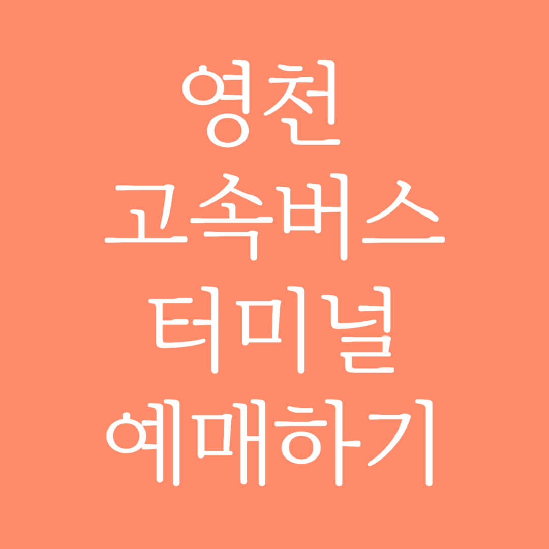 영천 고속버스터미널 시간표 조회 및 예매하기