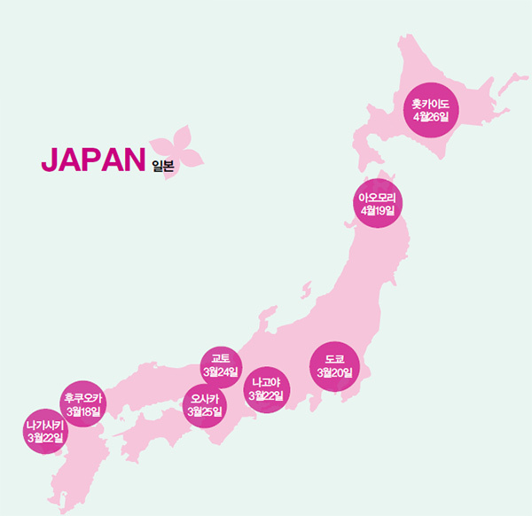 일본 벚꽃 명소 개화시기
