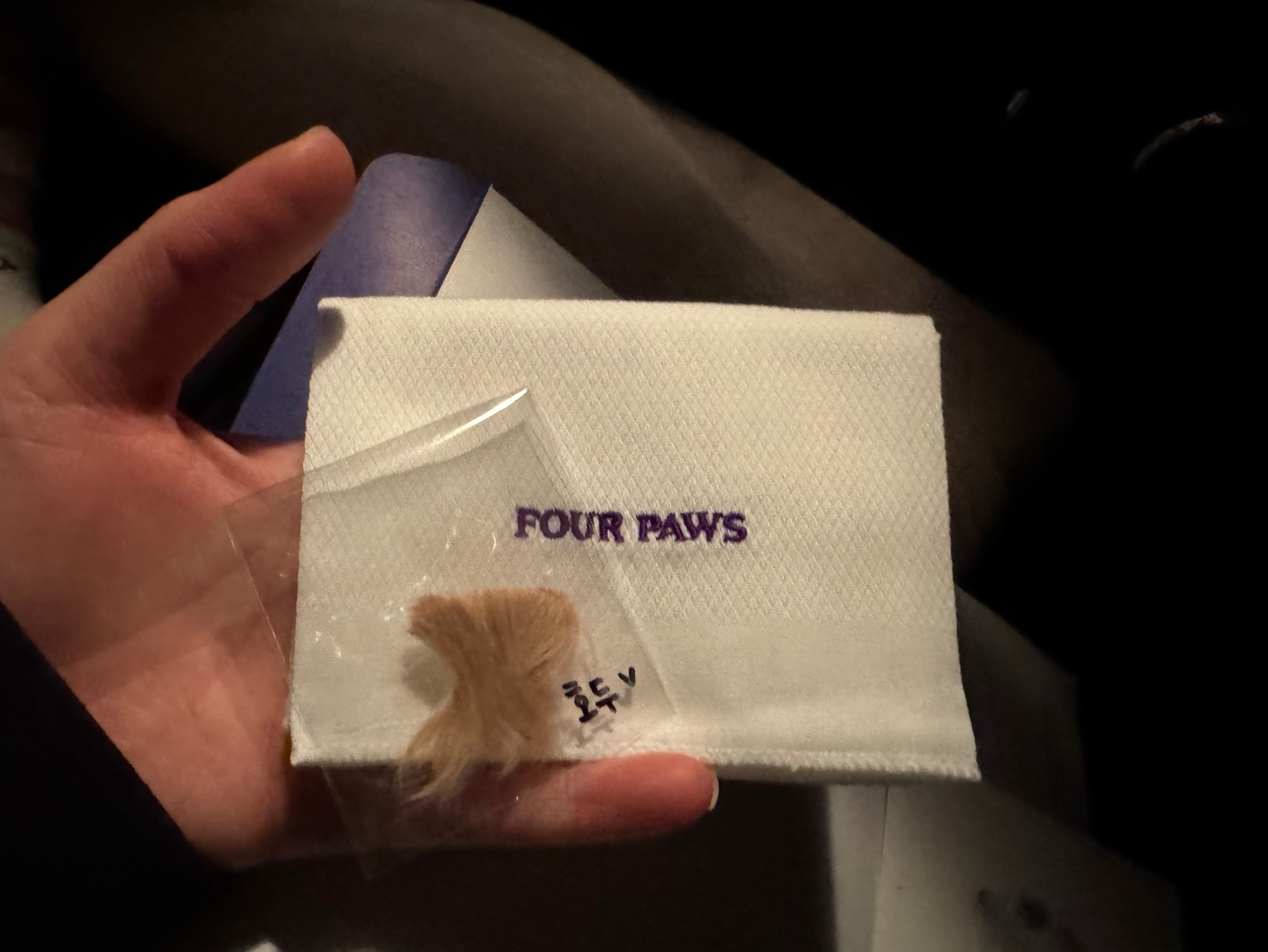 포포즈 부산점 어메니티 털 간직하기