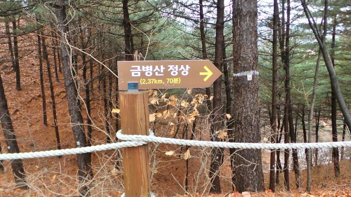 안전 난간 기둥 위에 금병산 정상 이정표(화살표), 나무 목재, 감겨진 안전로프,