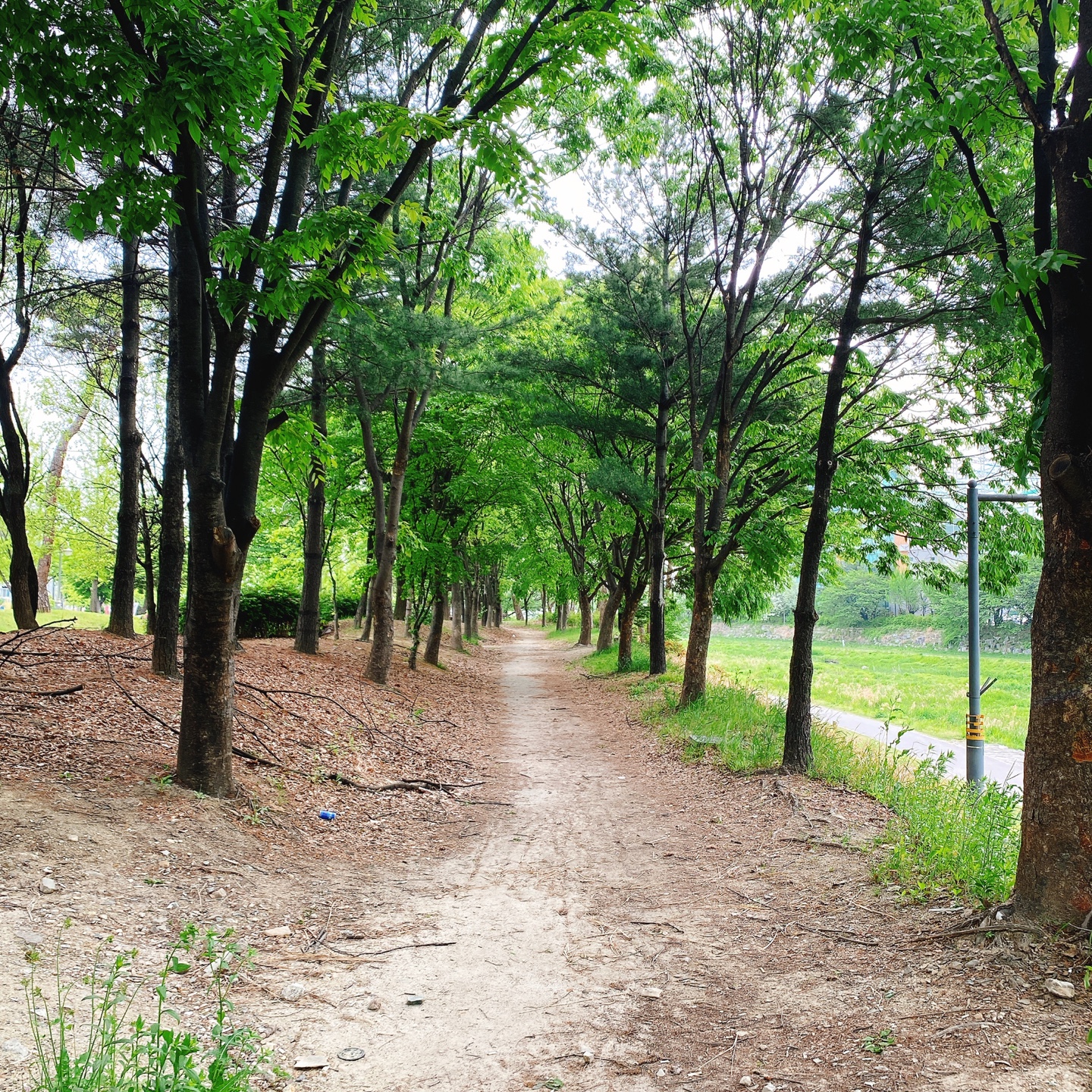 대전 대형베이커리 카페 크로넛 유성공원 에이트 aight