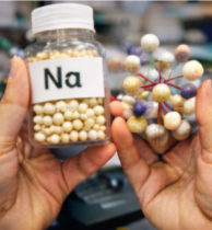 나트륨 - 세포 전위와 대사 균형