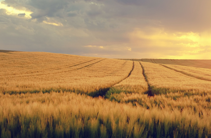 6월 여행하기 좋은곳 BEST 5