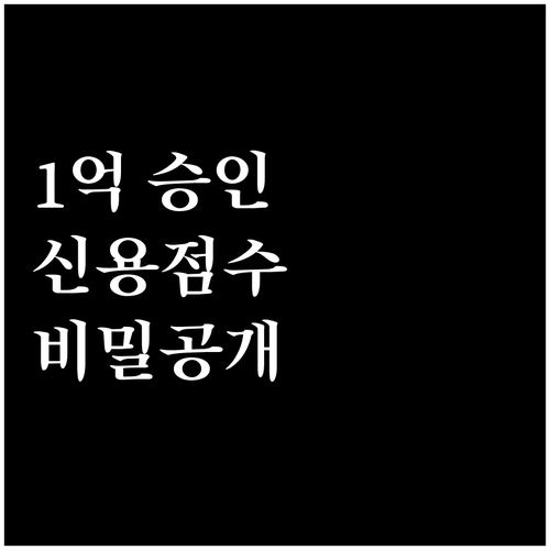 마이너스통장 1억 한도 승인을 위한 ..