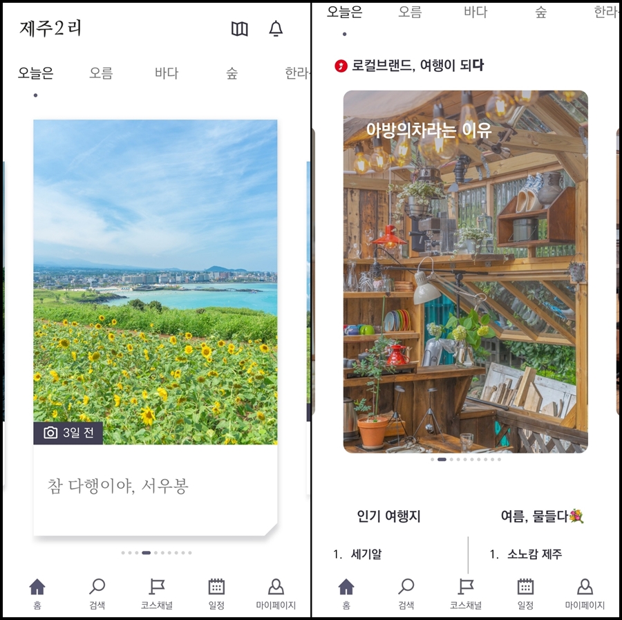 제주도 사진