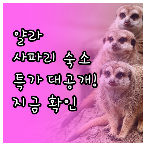 야생 캠핑부터 호수 전망 리조트까지 ..