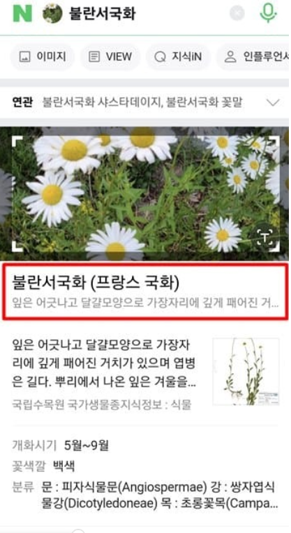 꽃이름 찾기 방법4
