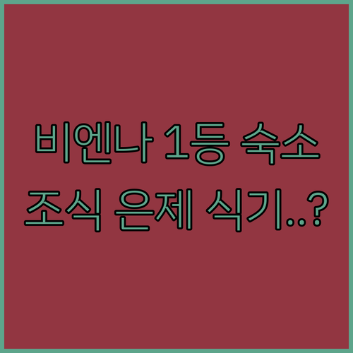 오스트리아 비엔나 숙소 추천 호텔 브..
