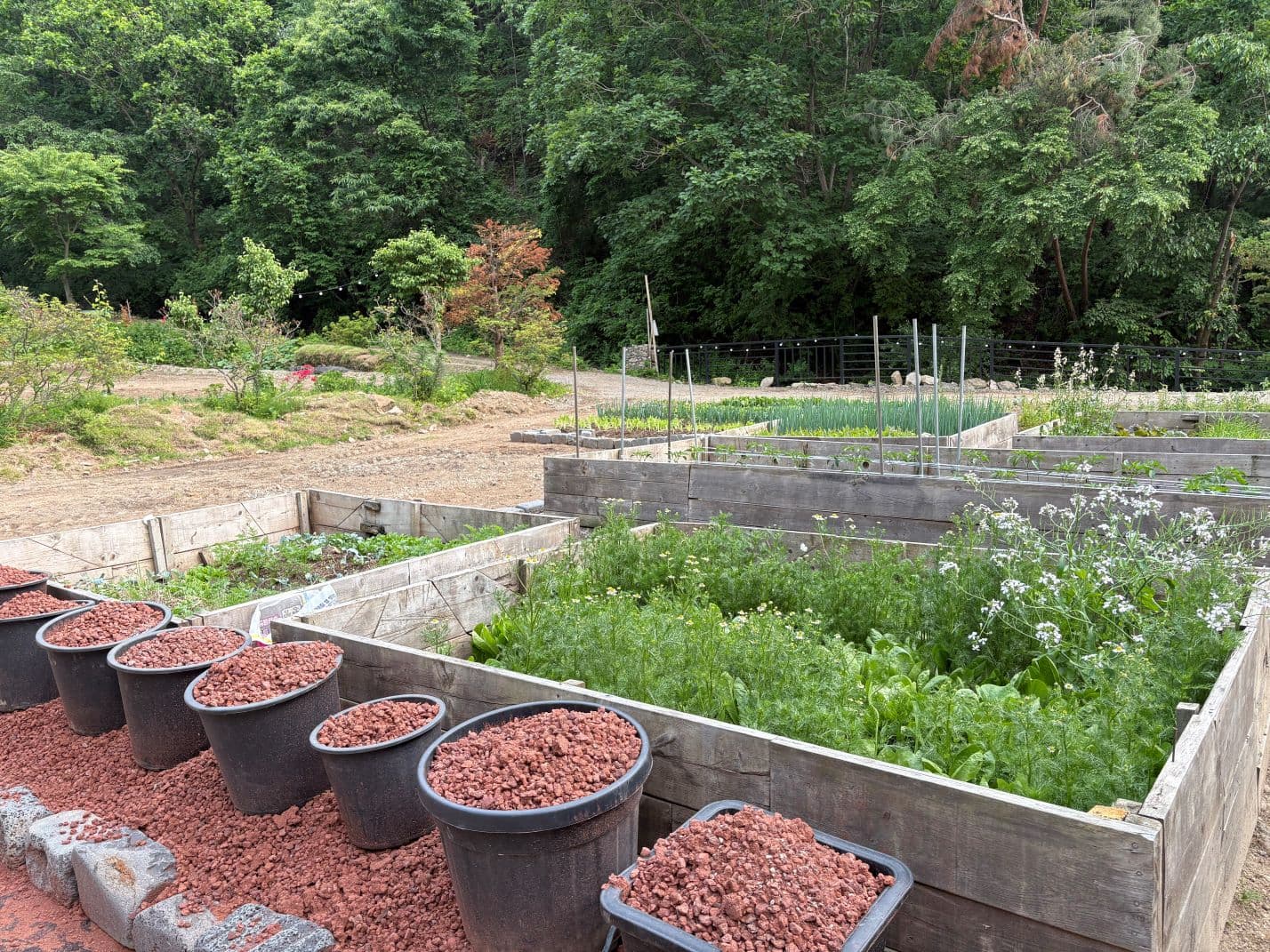 지평오차드 셀프 바베큐장