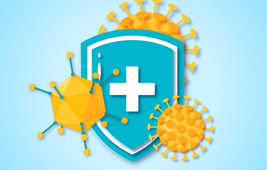 유산균 효능 면역력