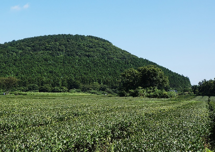 제주-렌터카-추천