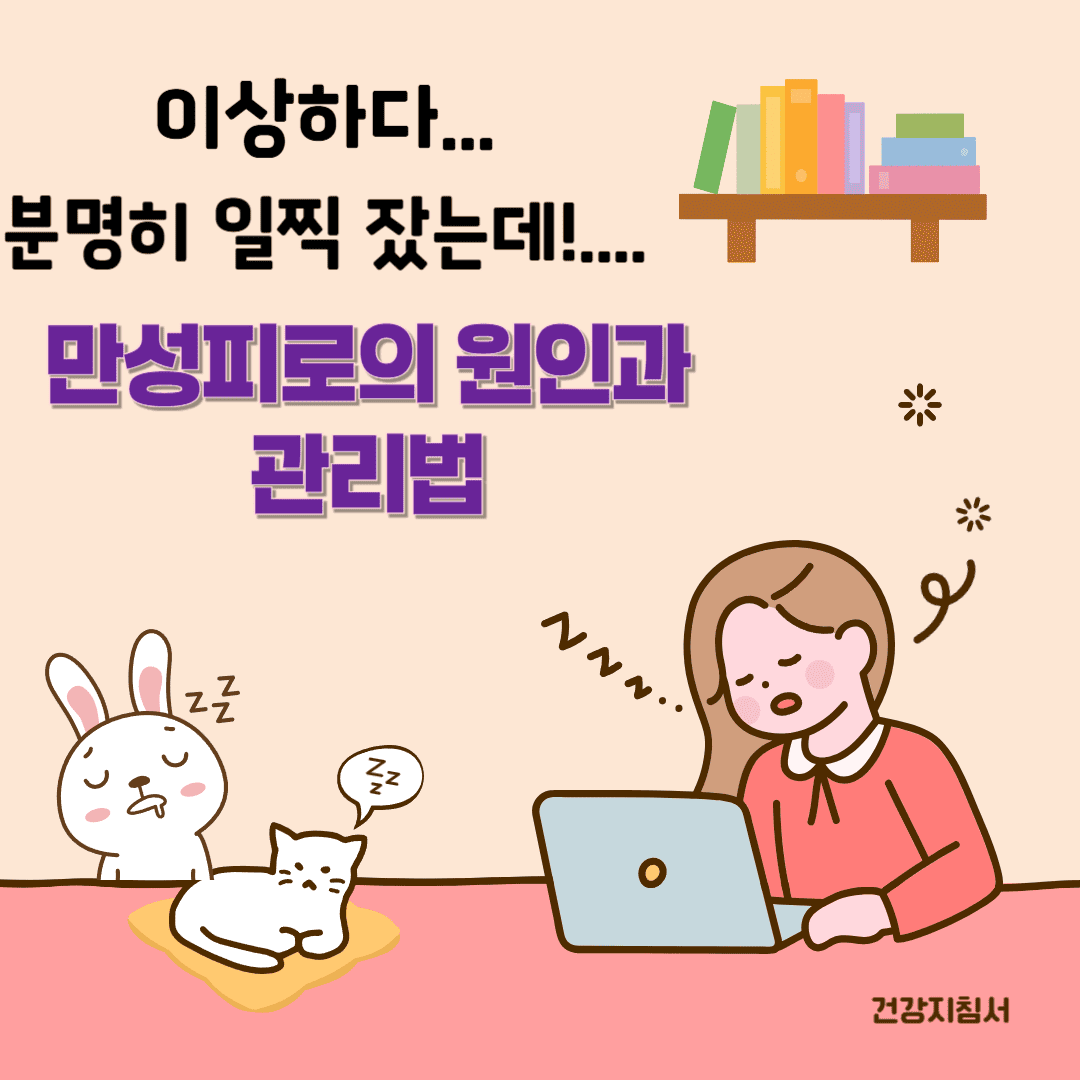 만성피로의 원인과 관리법