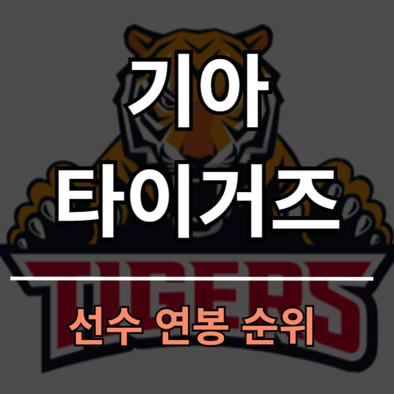 기아타이거즈 선수 연봉 순위