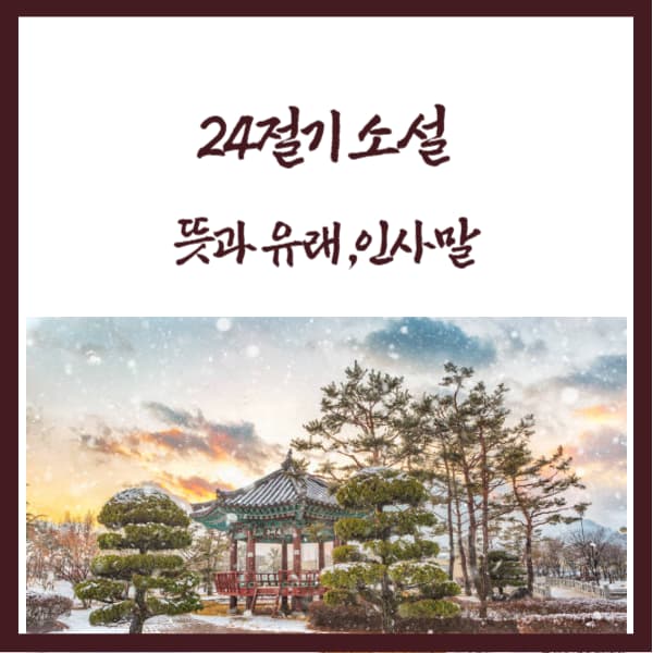 2024년-소설