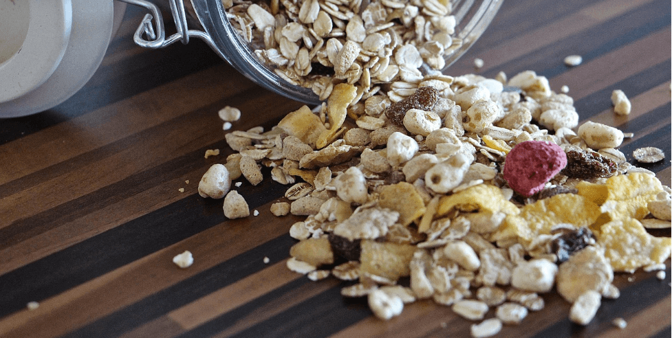 오트밀 사진 - 4