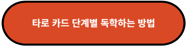 타로 카드 단계별 독학하는 방법