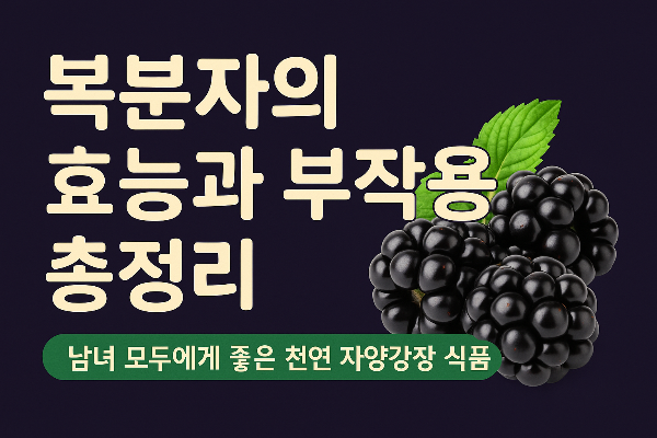 복분자의 효능과 부작용 및 섭취시 주의사항 정리