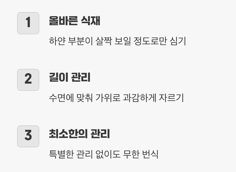 실패 없는 식재와 관리 팁