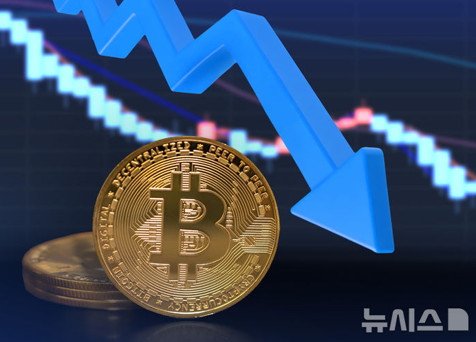 이미지출처 : 뉴시스