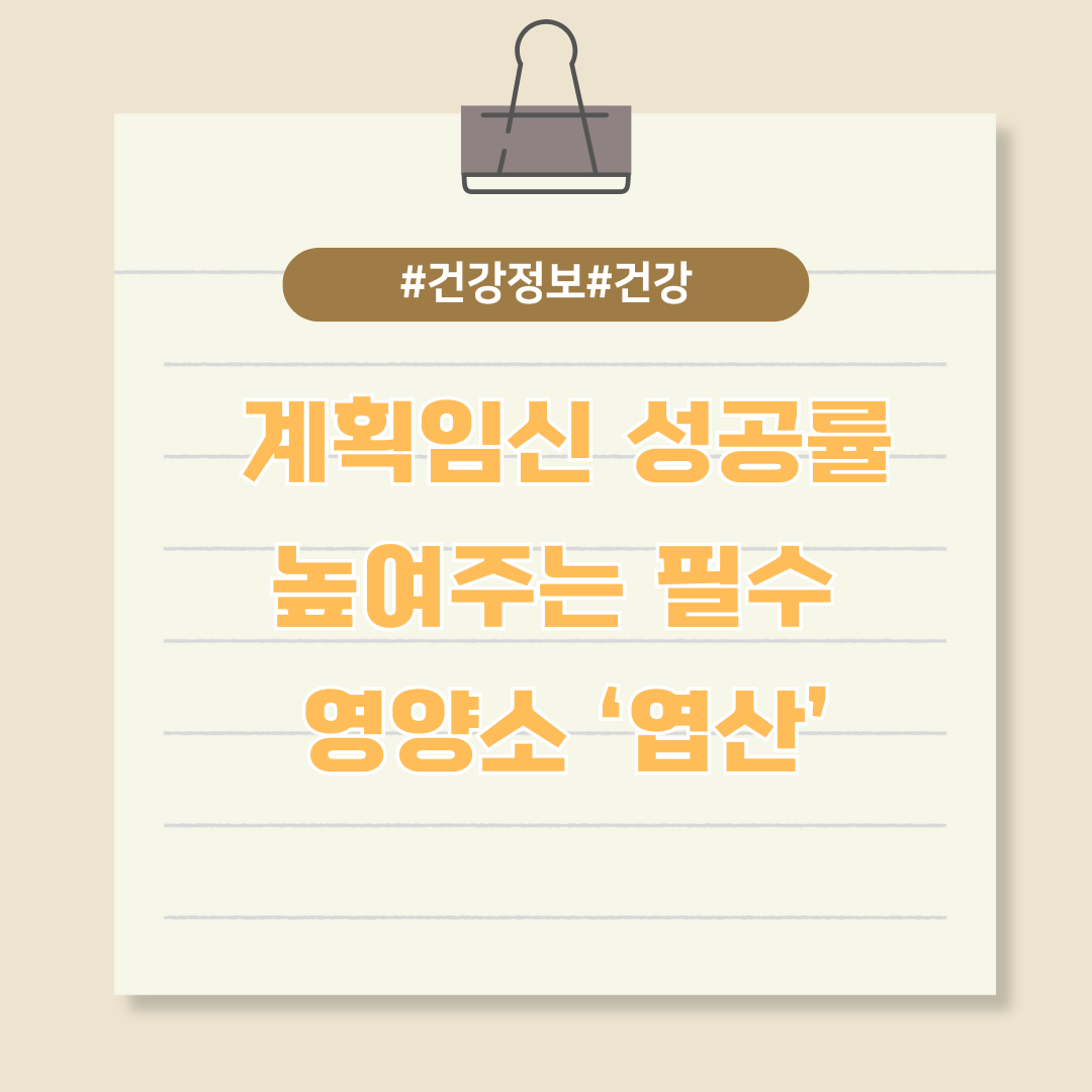 계획임신 성공률을 높여주는 필수 영양소 ‘엽산’