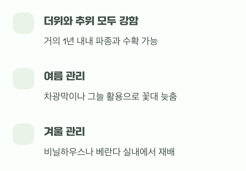 계절을 가리지 않는 강한 생명력