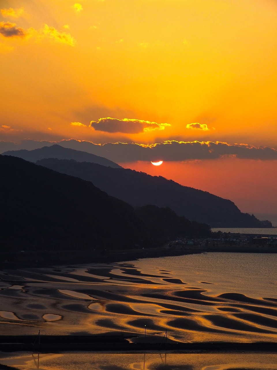 [유명한 지역축제] 바지락 보관법