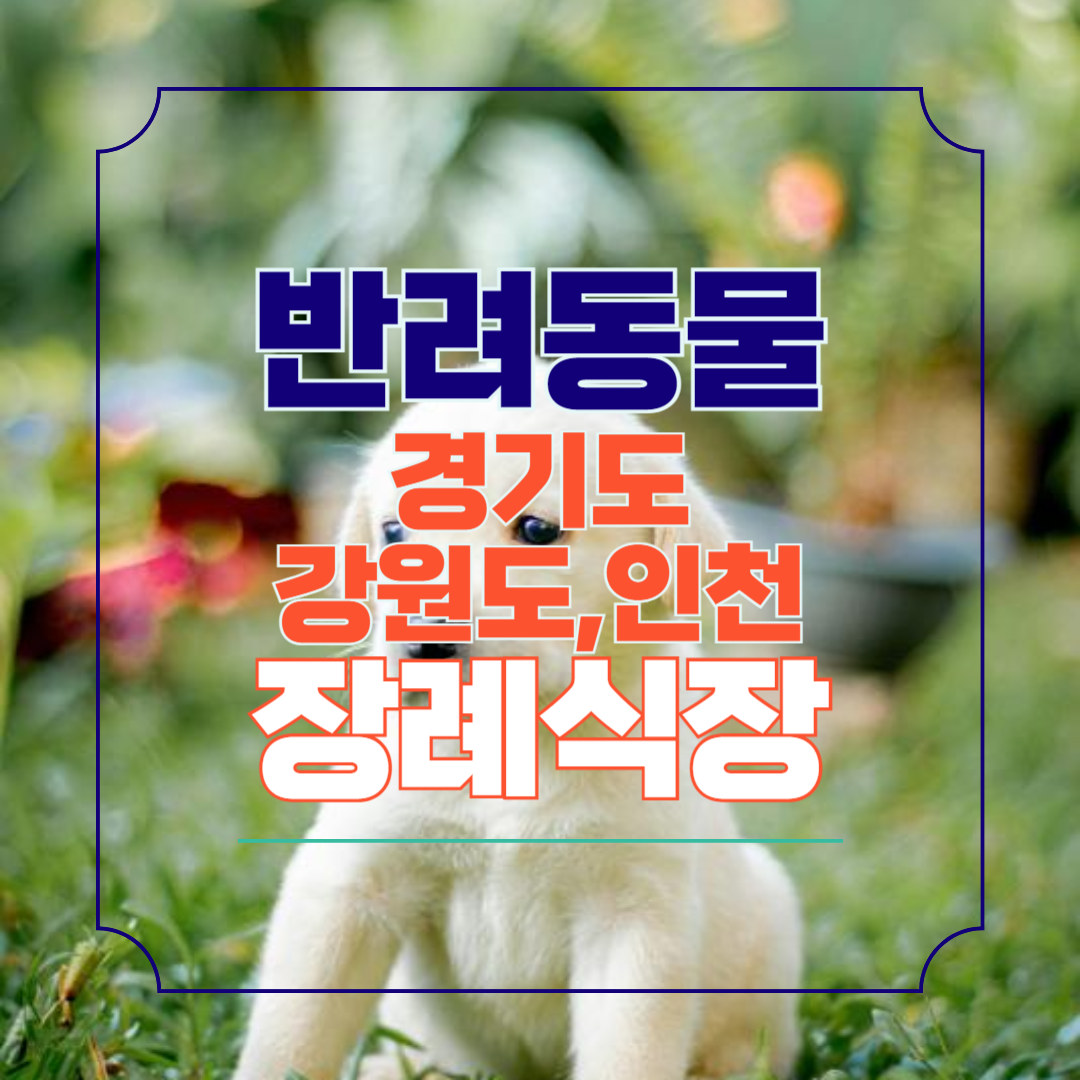 경기도 인천 강원도 반려 동물 장례식장 찾기