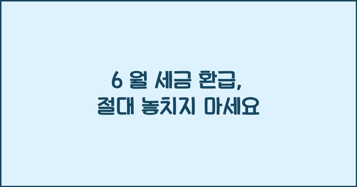 6 월 세금 환급