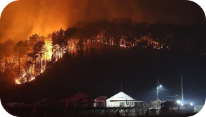 울산울주군 산불이미지