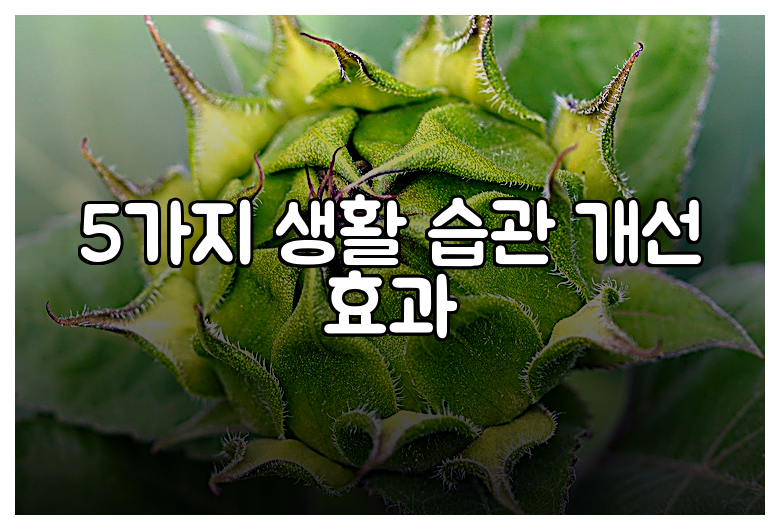 5가지 생활 습관 개선 효과