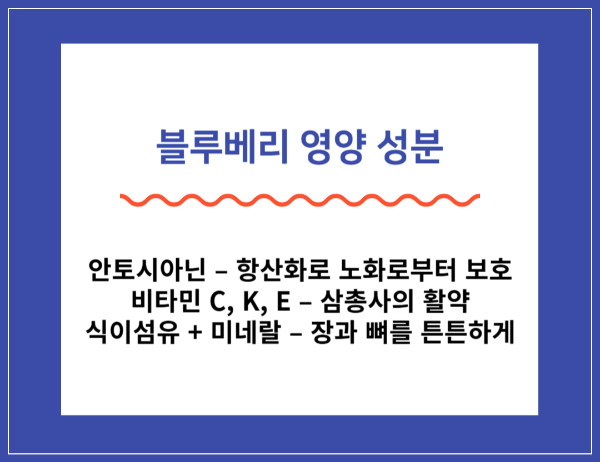 블루베리