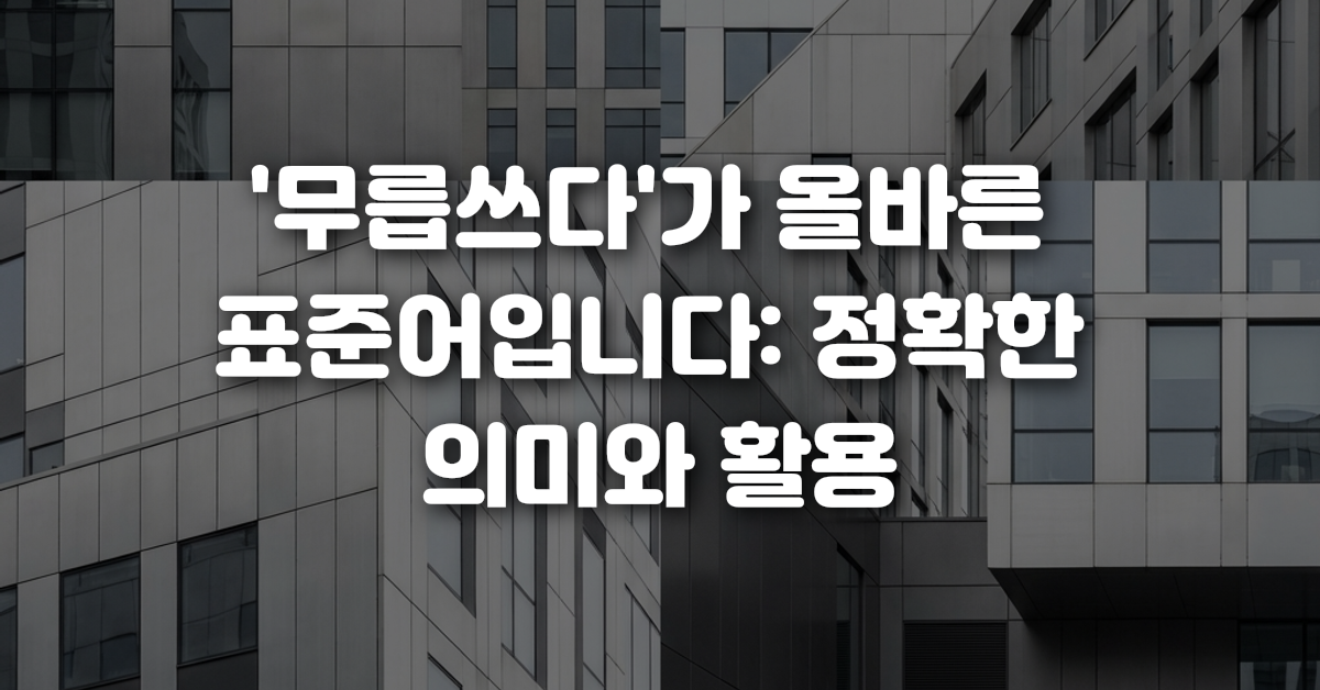 무릅쓰다 가 올바른 표준어입니다 정확한 의미와 활용