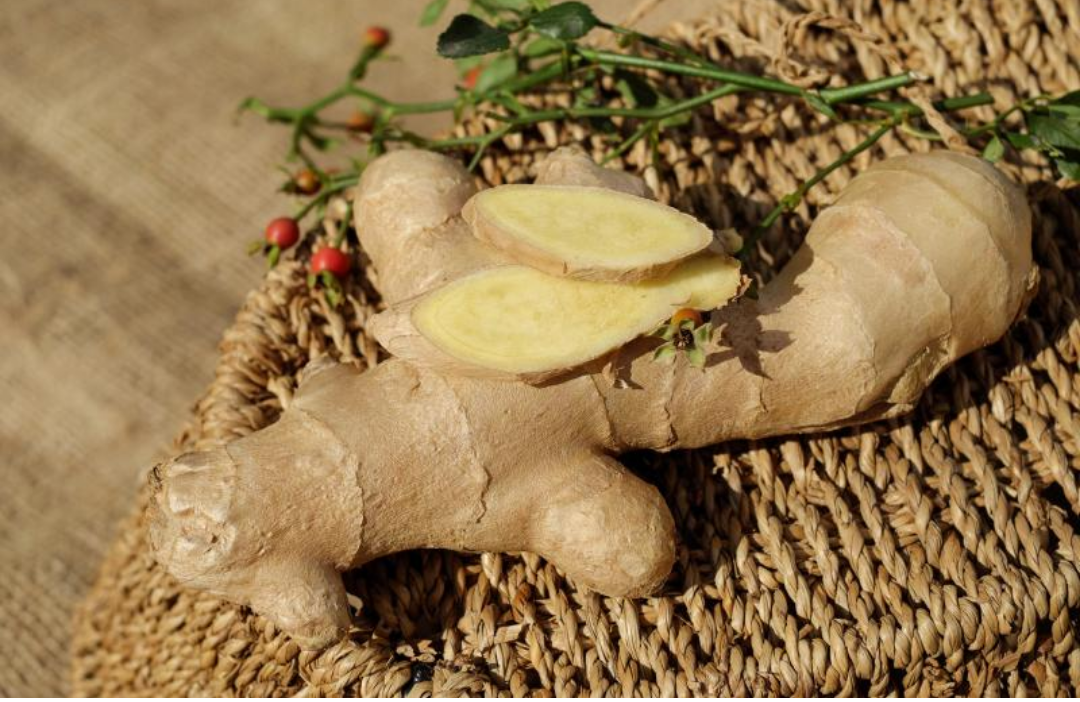 생강의 모습