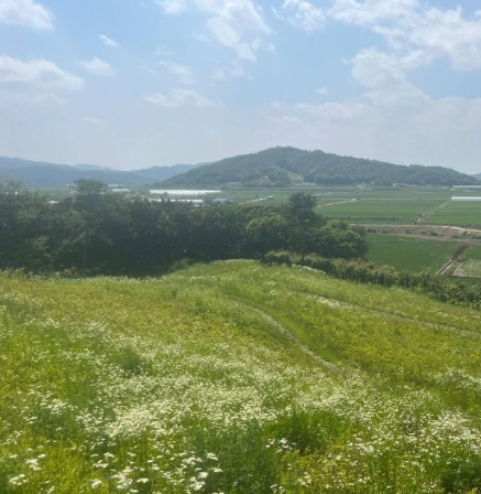 철원 가볼만한곳 베스트10