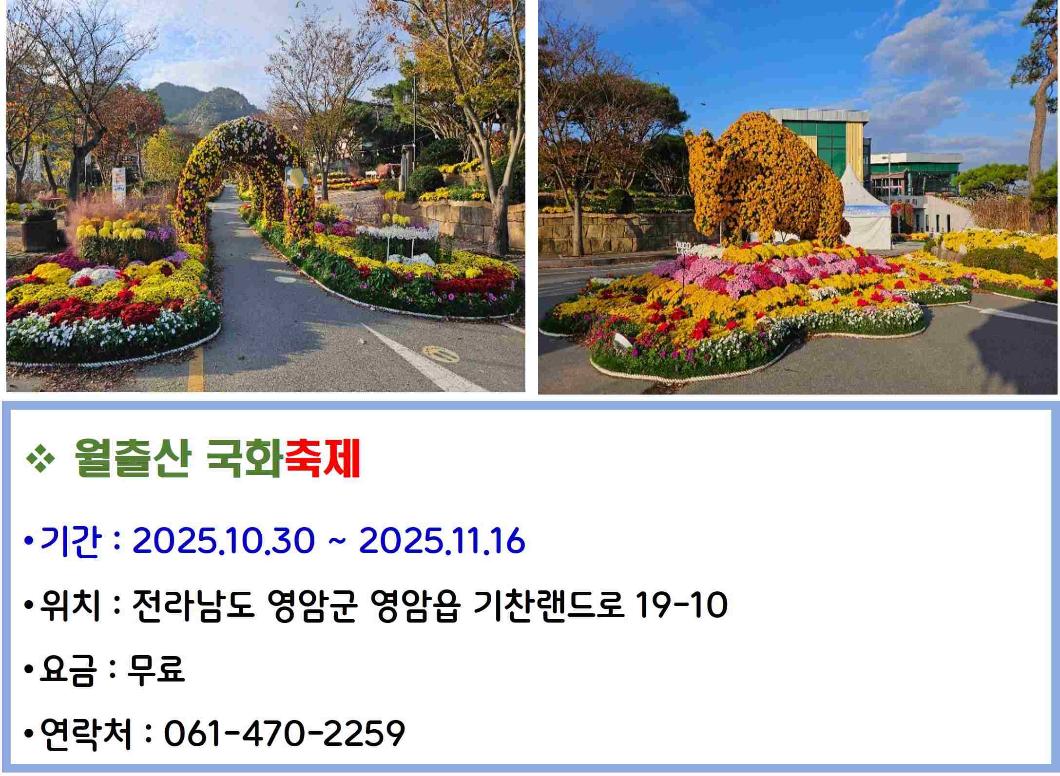 월출산 국화축제