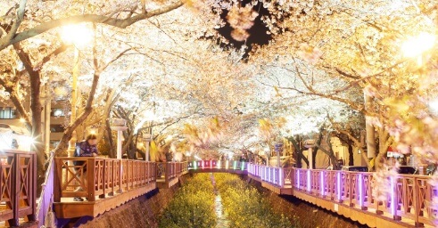 진해 군항제 일정