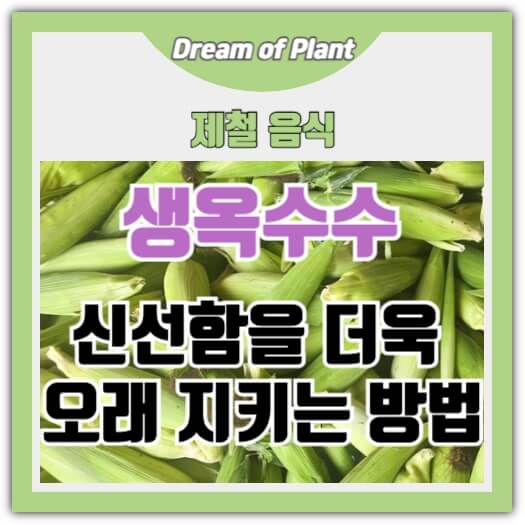 생옥수수 보관방법 썸네일 이미지