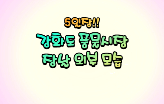 강화 풍물시장 장날 외부모습