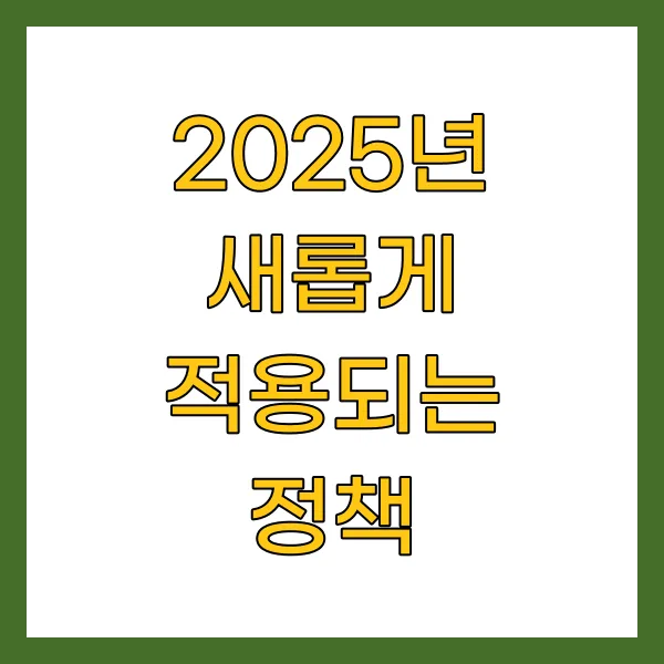 2025년 새롭게 적용되는 정책