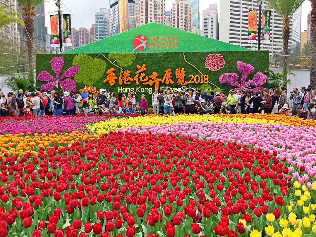 Flower Expo